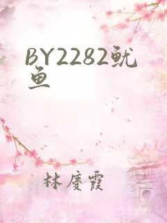 BY2282鱿鱼