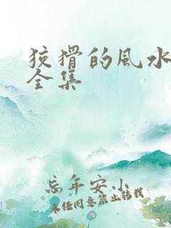 狡猾的风水相师全集