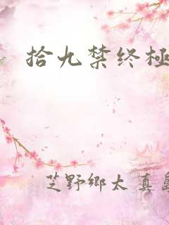 拾九禁终极直播