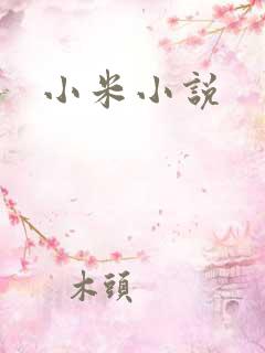 小米小说