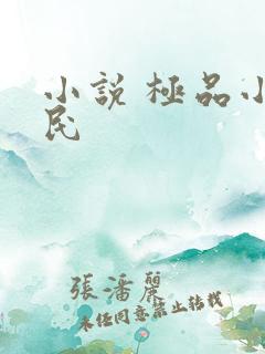 小说 极品小农民