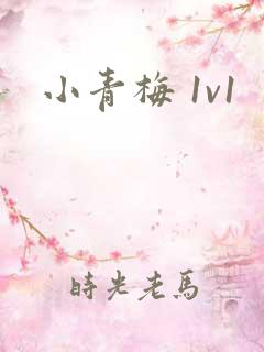 小青梅 1v1
