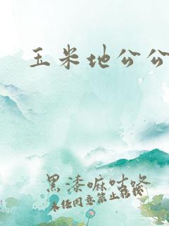 玉米地公公小说