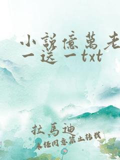 小说亿万老婆买一送一txt