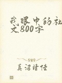 我眼中的社会作文800字