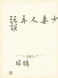 玩弄人妻少妇小说