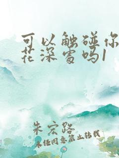 可以触碰你的樱花深处吗1
