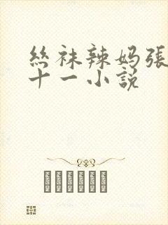 丝袜辣妈张静七十一小说