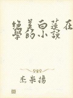 绝美白莲在线教学的小说