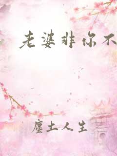 老婆非你不可