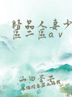 精品人妻少妇一区二区aⅴ