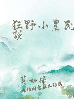 狂野小农民 小说