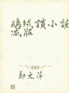 鹅绒锁小说未删减版