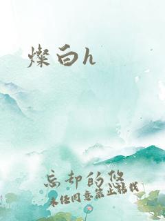 灿白h