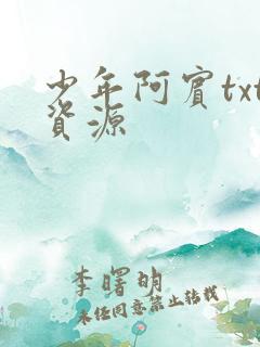 少年阿宾txt资源