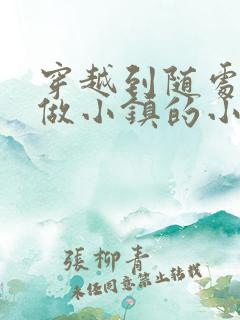 穿越到随处可以做小镇的小说