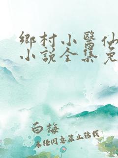 乡村小医仙何平小说全集免费阅读