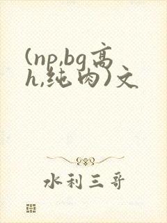 (np,bg高h,纯肉)文
