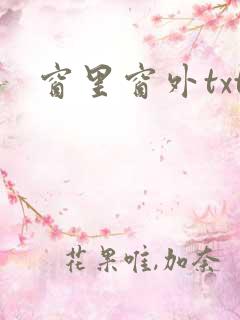 窗里窗外txt