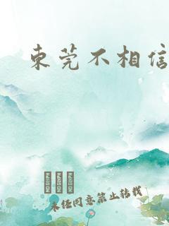东莞不相信眼泪
