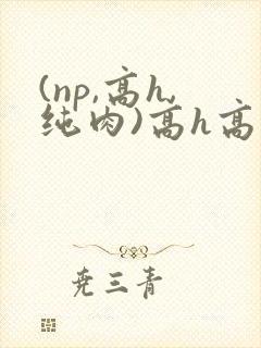 (np,高h,纯肉)高h高辣文