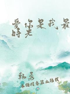 爱你是我最好的时光