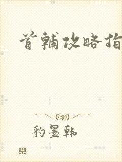 首辅攻略指南