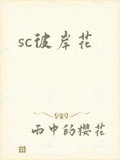 sc彼岸花
