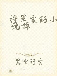 将军家的小娘子 沈锦