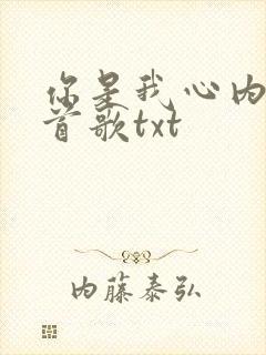你是我心内的一首歌txt
