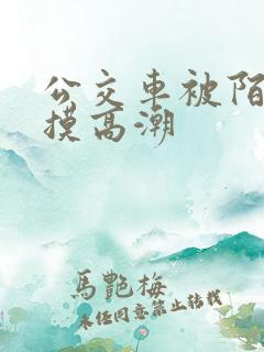 公交车被陌生人摸高潮