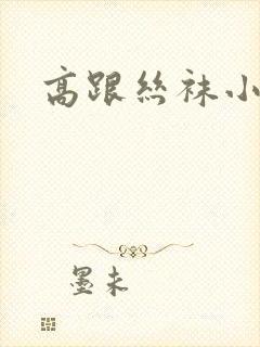 高跟丝袜小说