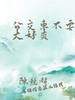 公交车不要停好大好爽