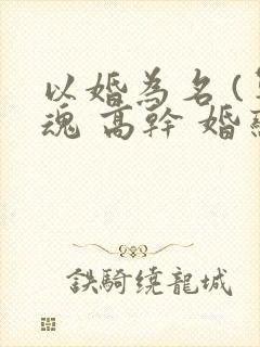 以婚为名 (军魂 高干 婚恋)