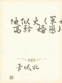 他似火 (军婚 高干 婚恋)全文在线阅读