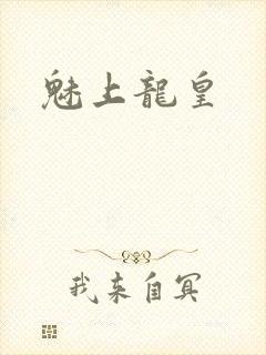 魅上龙皇