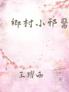 乡村小邪医小说