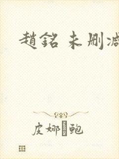 赵铭 未删减