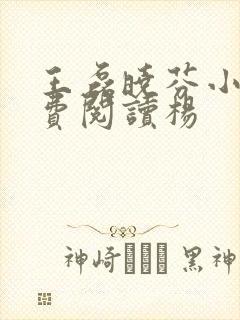 王磊晓芬小说免费阅读杨
