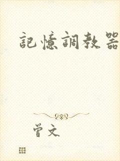 记忆调教器