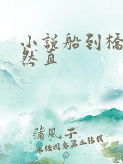 小说船到桥头自然直