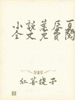 小说叶辰夏若雪全文免费阅读无弹窗