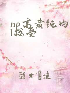 np高黄纯肉bl总受