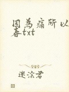 因为痛所以叫青春txt