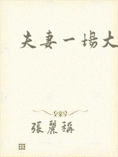 夫妻一场大结局