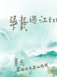 猛龙过江txt下载