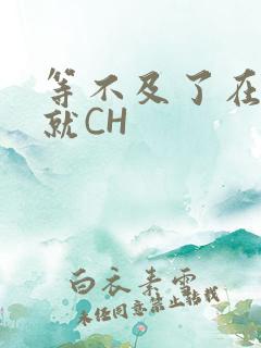 等不及了在车里就CH