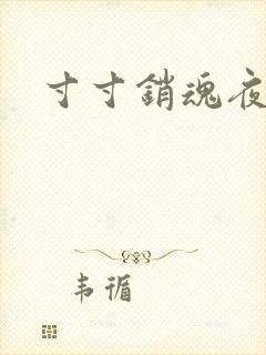 寸寸销魂夜春光