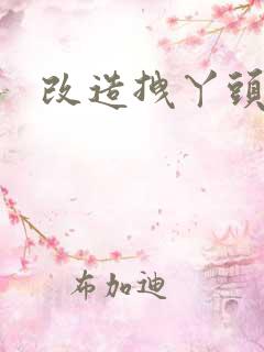 改造拽丫头