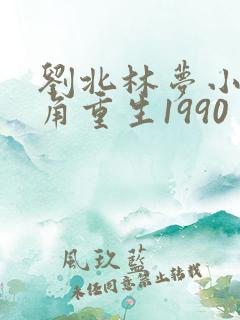刘北林梦小说主角重生1990